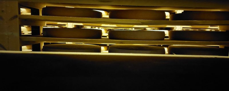 Producteurs partenaires laiterie gilbert